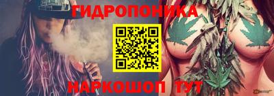 ГАЛЛЮЦИНОГЕННЫЕ ГРИБЫ Кандалакша