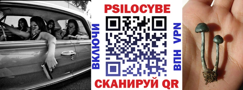 продажа наркотиков  Магнитогорск  Псилоцибиновые грибы Psilocybe 