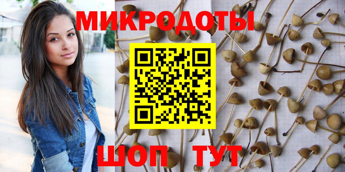 Псилоцибиновые грибы мухоморы Магнитогорск